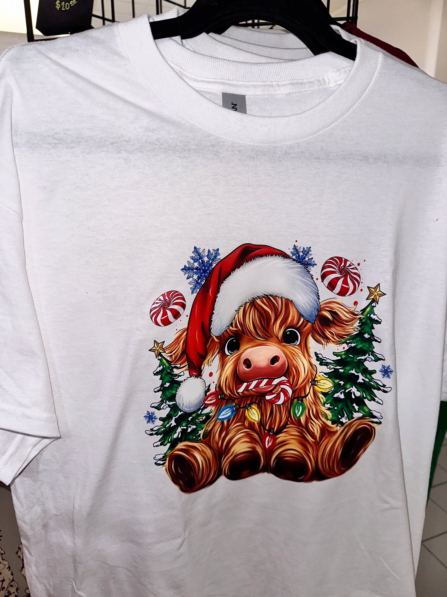 Highland Candy Cane Cow