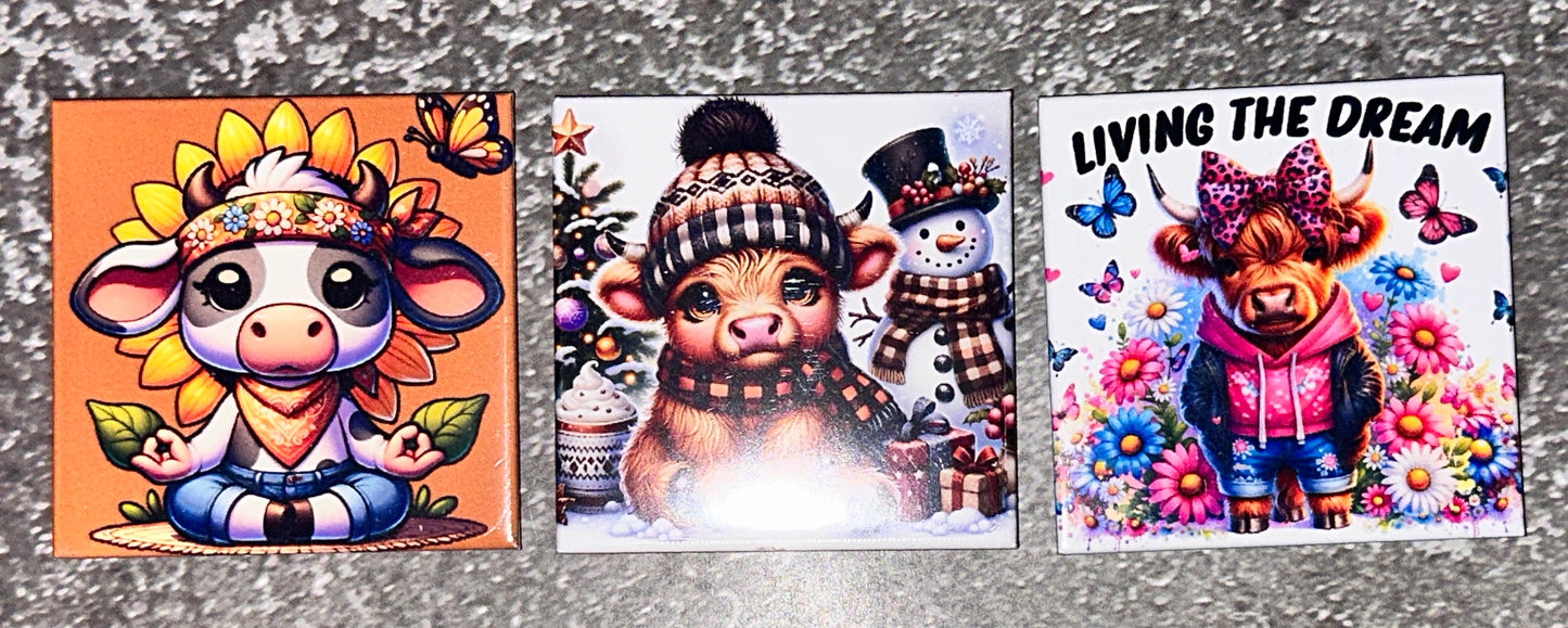 Magical Memory Magnets